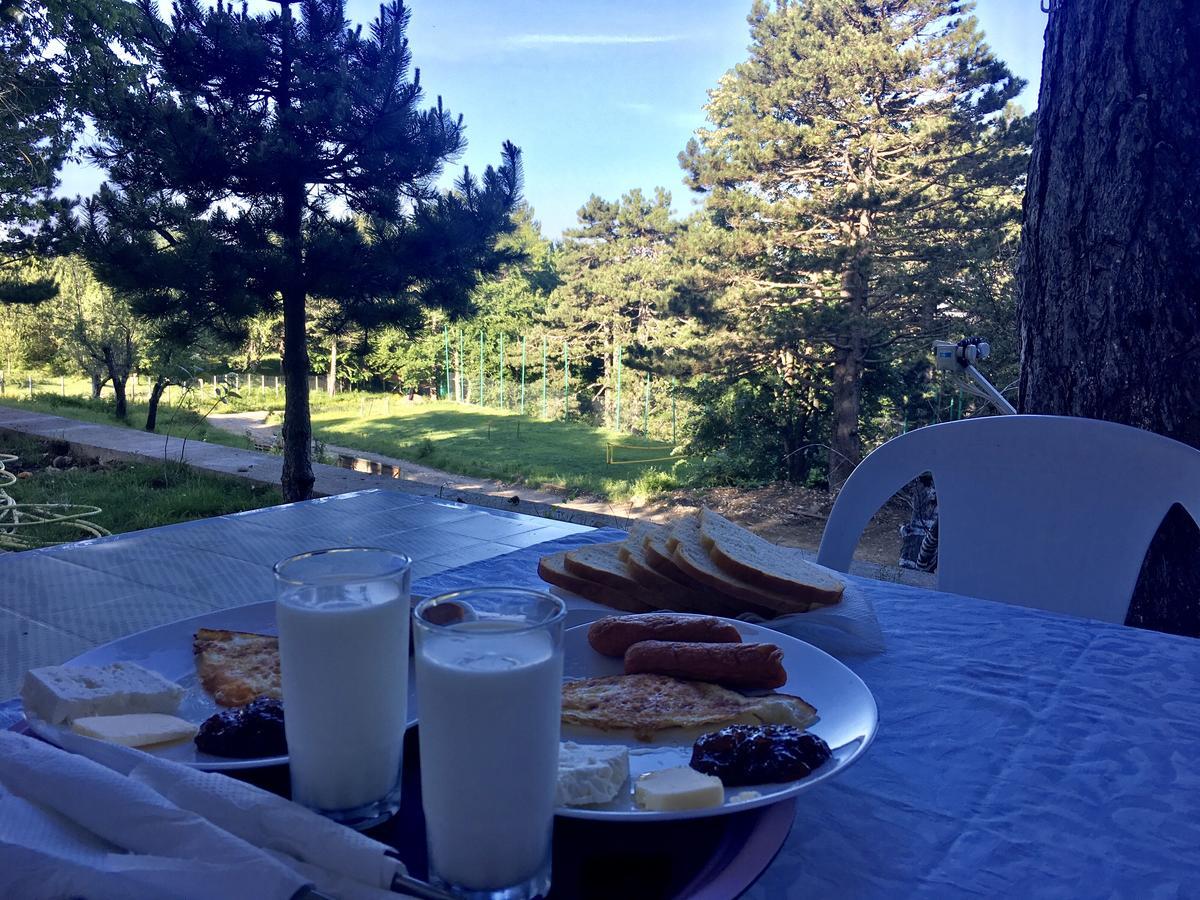 Shkreli Resort Qafeshtame Cudhi-Kamt Ngoại thất bức ảnh
